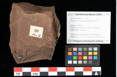 Foto (Objekt + Etikett) von Peridermium daphnes Ettingshausen (NHMW-GEO-2024-0188-0010)